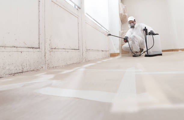 24/7 Emergency Commercial Mold Remediation experts in Newaygo, MI